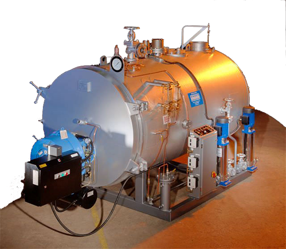 Asset Management & Reporting